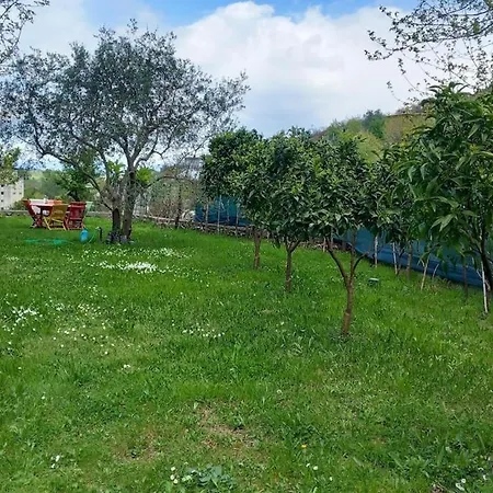 Tiny At The Castle Shkoder
