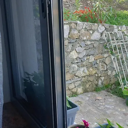 Tiny At The Castle Holiday home *